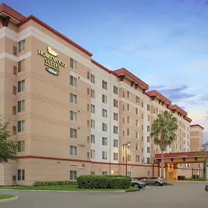 Homewood By Hilton Tampa-brandon Hotel